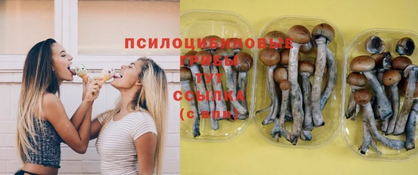 прущая мука Богданович